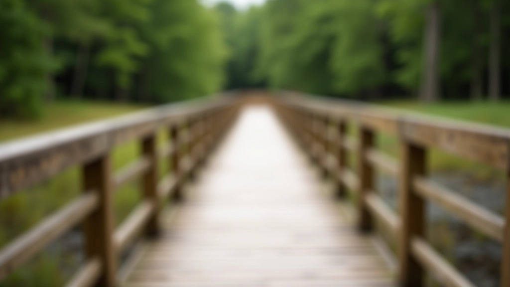 Wooden boardwalk bridge crossing over marshy area at Lough Key with water reflections and forest in background, autumn lighting